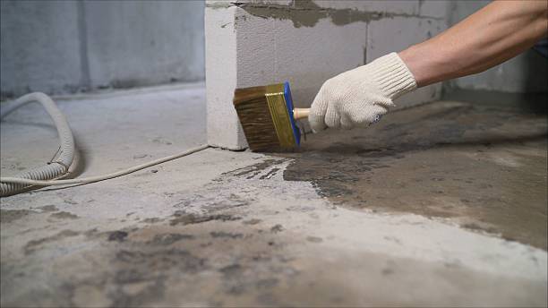24/7 Emergency Emergency Waterproofing experts in Coral, MI